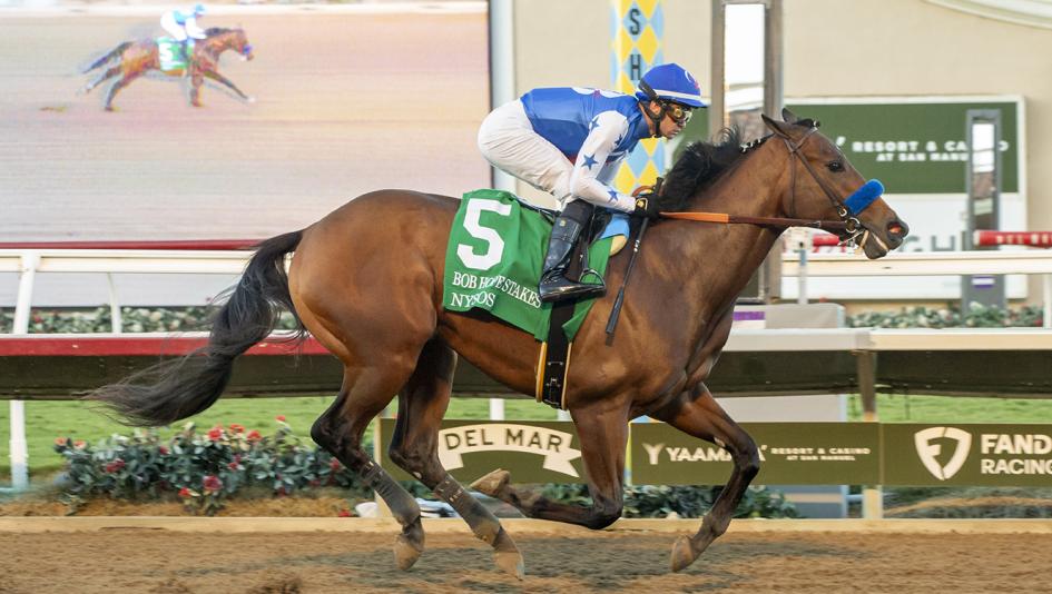 Triple Crown, Nysos, NTRA poll